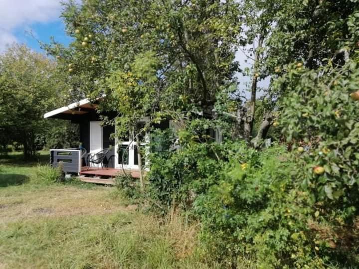 Kiszkowianka Domki Skrzeszewo  Exterior photo